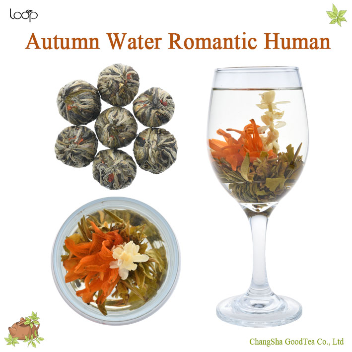 Umano romantico dell'acqua di autunno