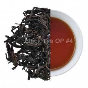 Té negro OP #4-1 JPG