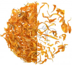 Calendula petals-5 JPG