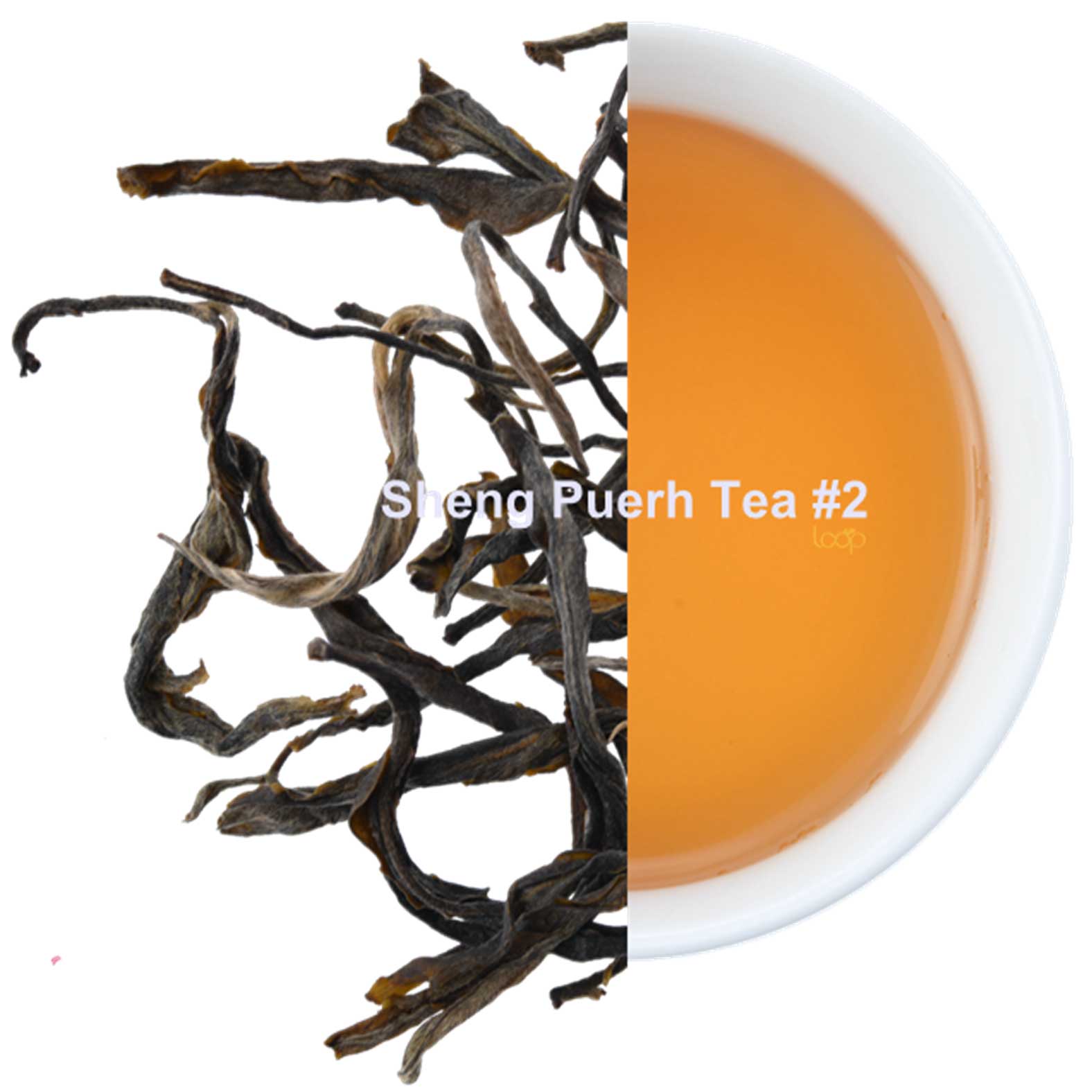 Sheng-(Raw)-Puerh-Čaj-#2-4