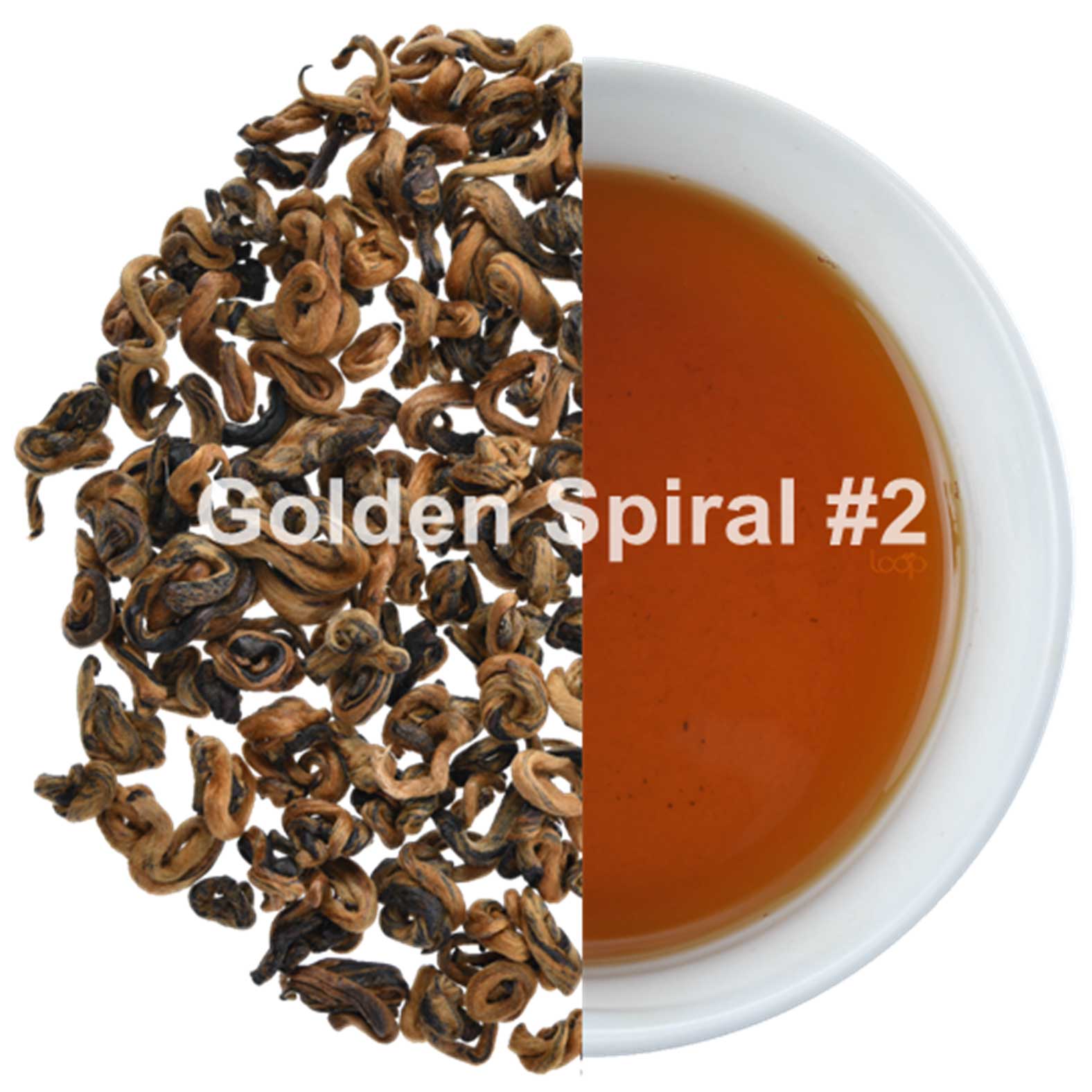 Golden-Spiral-#2-4