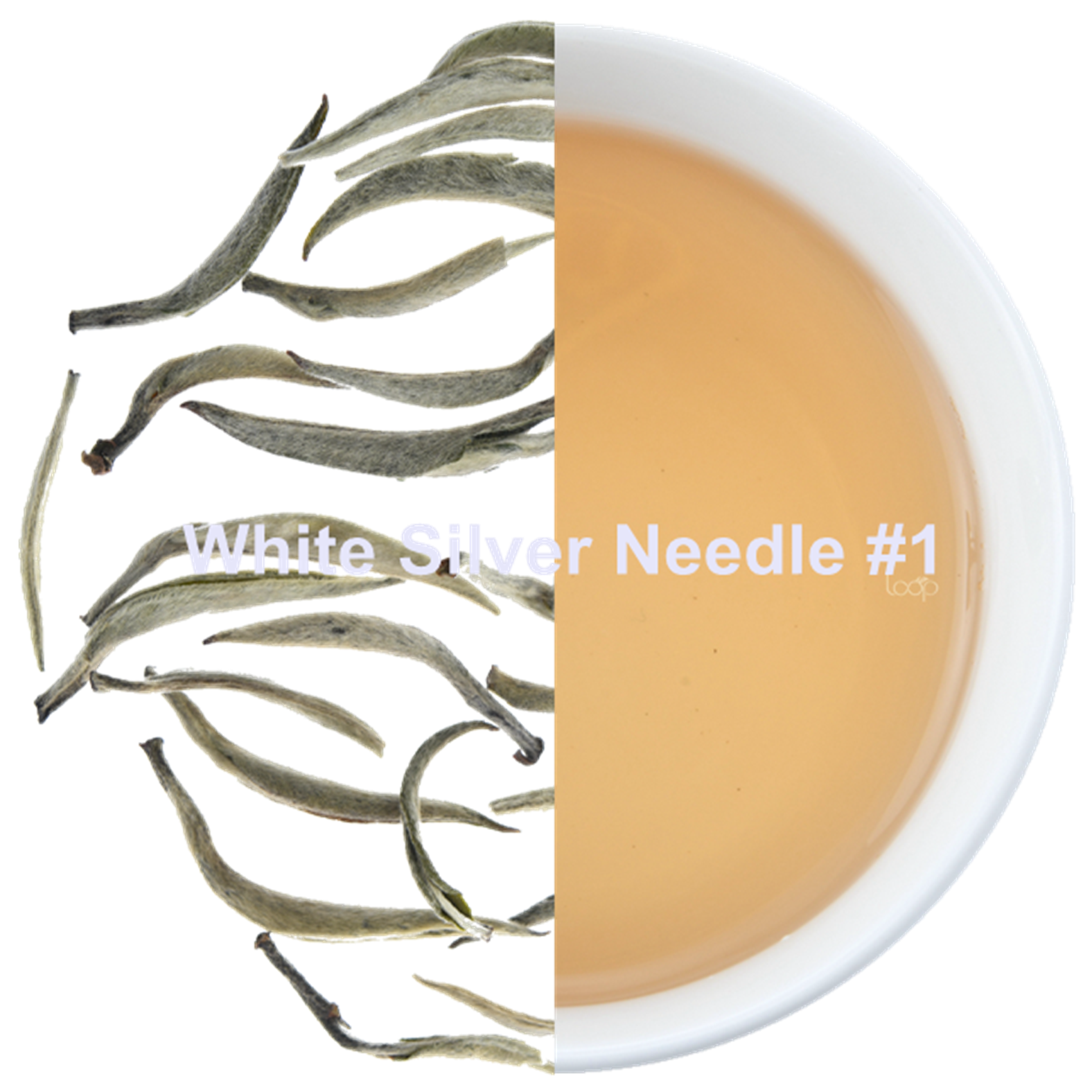 White Silver Needle #1-5